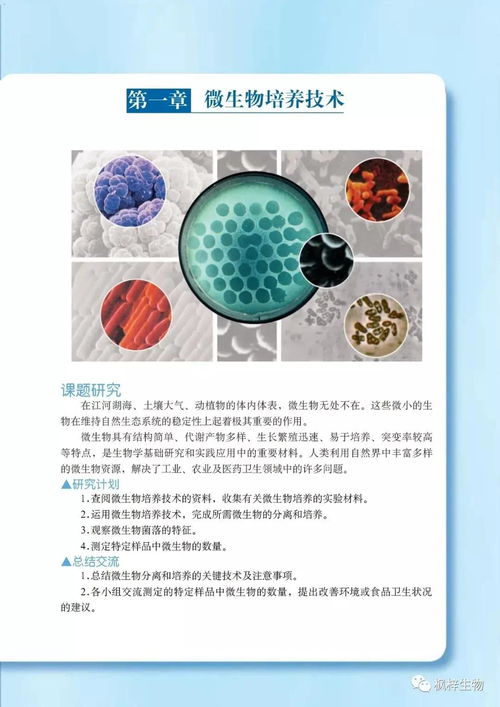 沪科版高中生物选修一 生物技术实践 电子课本 PDF版免费下载