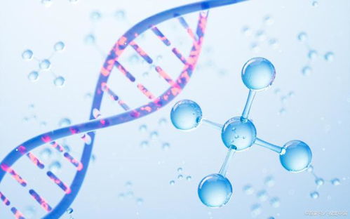 生物技术的发展 合成生物学 基因编辑和组织工程的未来